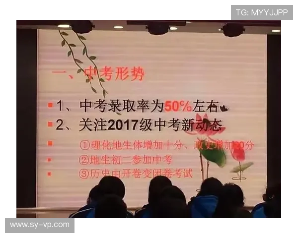 南京排球队的成长之路：一段关于拼搏与团结的纪实故事