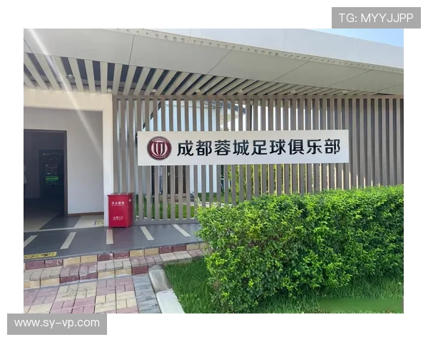 成都足球队实力分析与发展前景探讨聚焦足球运动的未来之路